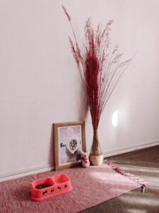 How to Create a Cozy and Safe Pet-Friendly Home Corner